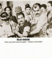 ,,Élő erők" című film állóképei, 15 db negatív, ezekről készültek a mozik előcsarnokában kiállí...