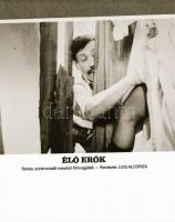 ,,Élő erők" című film állóképei, 15 db negatív, ezekről készültek a mozik előcsarnokában kiállí...