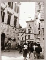 ,,Az állatok válaszolnak" című film állóképei, 22 db negatív, ezekről készültek a mozik előcsar...