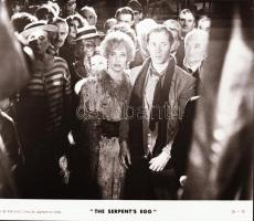 ,,Kígyótojás" című film állóképei, 35 db negatív, ezekről készültek a mozik előcsarnokában kiál...