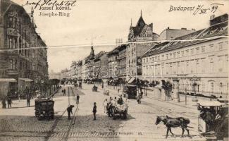 1899 Budapest (fa)