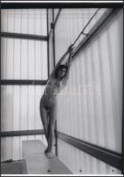 cca 1977 Kis kaland a sportcsarnokban, jelzés nélküli fotóművészeti alkotások, 2 db korabeli negatív...