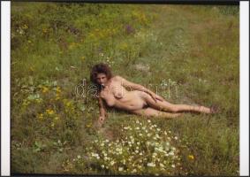 cca 1984 Virágzó szépségek, jelzés nélküli fotóművészeti alkotások, 2 db korabeli negatívról készült...