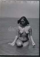 cca 1985 A Velencei-tó örömei, jelzés nélküli fotóművészeti alkotások, 3 db korabeli negatívról kész...