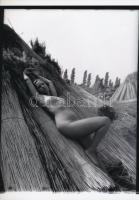 cca 1985 A Velencei-tó örömei, jelzés nélküli fotóművészeti alkotások, 3 db korabeli negatívról kész...