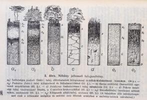 Erdészeti zsebnaptár az 1943. évre. I-II. Szerk.: Dr. Ing. Mihályi Zoltán. Bp., 1943, Országos Erdés...