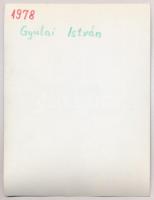 1978 Gyulai István (1943-2006) (?) újságíró, sportvezető a pályán, fotó, hátulján feliratozva, 12×9 ...