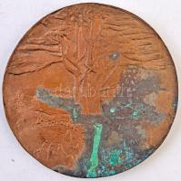 Soltra Elemér (1922-2013) 1983. "Hisz maga festőnek született..." Br plakett (122mm) + 198...