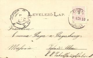 1899 Sátoraljaújhely, Vármegyeház, Kazinczy Mauzóleum, Rákóczi szülőháza Borsiban, floral; kiadja Lő...