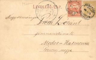 Siófok, Kikötő a Sión a Baross gőzössel, kiadja Balázsovich Gyula