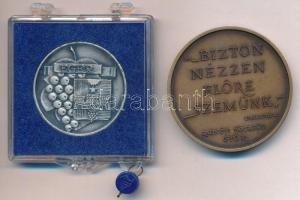 Léderer Tamás (1938- ) 1988. "200 éve született Kisfaludy Károly" Br érem (43mm) + DN &quo...