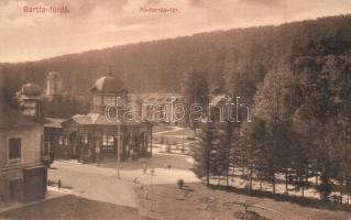 Bártfafürdő, Bardejovské Kúpele, Bardiov; Főforrás tér, Divald műintézete / spa, spring square (EK)