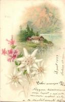 1899 Flowers with hut and mountains in the background, litho