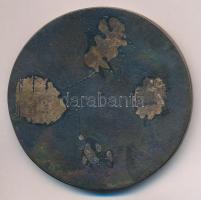 DN "Jászberény - Hamza Múzeum" Br plakett. Szign.: M (68mm) T:2