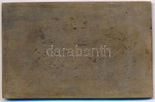 Cziglényi Ádám (1909-1998) 1948. "V. Országos Magyar Bélyegkiállítás Budapest 1948" Br pla...