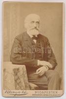 cca 1890 Tisza Kálmán (1830-1902) miniszterelnök, MTA tag portréja Ellinger Ede budapesti műterméből, keményhátú fotó, 16.5×10.5 cm