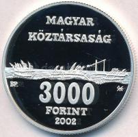 2002. 3000Ft Ag "Hortobágyi Nemzeti Park" dísztokban, tanúsítvánnyal T:PP