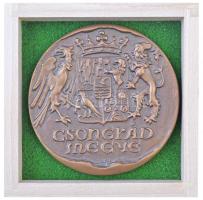 Tóth Sándor (1933-) DN "Csongrád megye" Br plakett gyűjtői tokban (744g/124mm) T:1 / Hungary ND "Csongrád County" Br plaque in collector's case. Sign.: Sándor Tóth (744g/124mm) C:UNC