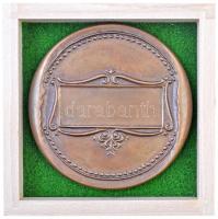 Tóth Sándor (1933-) DN "Csongrád megye" Br plakett gyűjtői tokban (744g/124mm) T:1
/ Hung...