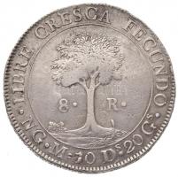 Közép-Amerikai Szövetségi Köztársaság 1836NG-M 8R Ag (26,84g/0.903/39mm) T:2-,3 ü., ph. / Federal Re...