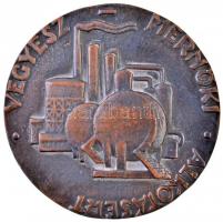 Boldogfai Farkas Sándor (1907-1970) 1955. "Magyar Kémikusok Egyesülete, Wartha Vince Emlékérem ...