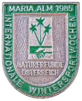 DN "MSSZ (Magyar Sí Szövetség)" fém jelvény + DN Makk mintázatú aranyozott fém jelvény + A...