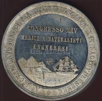 1869. "Fiume - magyar orvosok és természetvizsgálók..." nagyalakú 2 plakett eredeti kerek ...