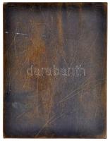 Csillag István (1881-1968) 1928. "Rákosi Szidi - Aetatis Svae" színésznő Br emlékplakettje...