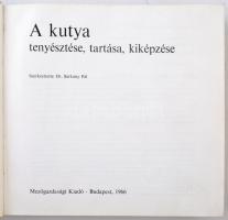 6db-os vegyes magyar kutyás témájú emlékérem és plakett, közte "Magyar Ebtenyésztők Országos Eg...