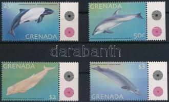 Delfinek ívszéli sor, Dolphins margin set