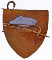 1966. "Alba Regia Gyógyszerész Napok 1966" zománcozott Cu jelvény (21x22mm) T:2