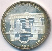 Németország 1993F 10M Ag "1000 éves Potsdam" műanyag tokban angol és német nyelvű tanúsítvánnyal T:1-(PP) apró ph.,patina Germany 1993F 10 Mark Ag "1000th Anniversary - Potsdam" in plastic case with English and German certificate C:AU(PP) tiny edge error,patina