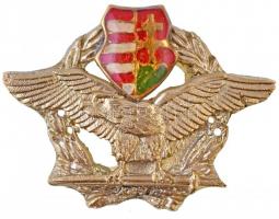 DN Kossuth címeres és turul madaras jelvény aranyozott fém, rögzítéshez négy lyuk (57x43mm) T:1-
