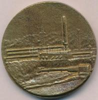 1985. "Mányi Bányaüzem megnyitása 1985. november 4." aranyozott Br emlékérem (67mm) T:2,2-