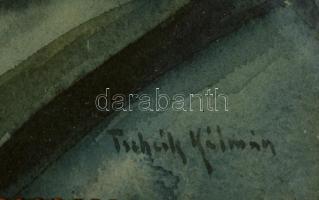 Tscheik Kálmán (1891-?): Virágcsendélet. Akvarell, papír, jelzett, üvegezett keretben, 35×27 cm