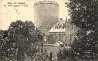Borgholzhausen, Burg Ravensberg im Teutoburger Walde / castle (fa)