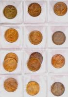 216db-os forint-fillér gyűjtemény, gyűrűs berakólapokon, névérték és évszám szerint gondosan rendeze...