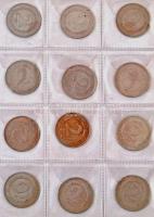 216db-os forint-fillér gyűjtemény, gyűrűs berakólapokon, névérték és évszám szerint gondosan rendeze...