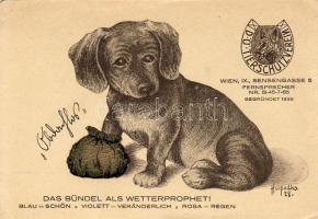 D O Tierschutzverein s: Hospodka