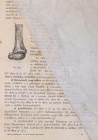 Kovácsy Béla, Monostori Károly: A ló és annak tenyésztése. Kézikönnyv lótenyésztők, lókedvelők, álla...