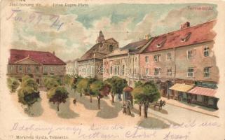 5 db RÉGI litho városképes lap a Történelmi Magyarország területéről Geiger Richárd szignóval; Temes...