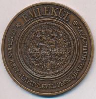 1993. "Bizományi Kereskedőház és Záloghitel Rt. 1773-1993 / Emlékül" Br emlékérem (60mm) T...