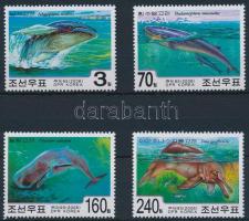 Bálnák sor Whales set