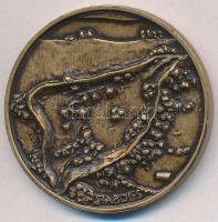 Tóth Sándor (1933-) 1996. "Magyar Honfoglalás 896 Szabolcs vezér / Szabolcs" Br emlékérem ...