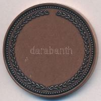 2016. "HUNFILA - Szombathely - 2016. V. 6-8." Br emlékérem (42,5mm) T:1