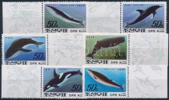 Whales margin set, Bálnák ívszéli sor