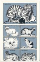 3 db vágatlan ív különböző motívumokkal: állatkert, tömegközlekedés, macskafélék