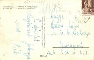 Szolyva (Hársfalva), Nelipino; Fasor, Zorja szövetkezet kiadása. Kétnyelvű pecséttel / promenade, bi...