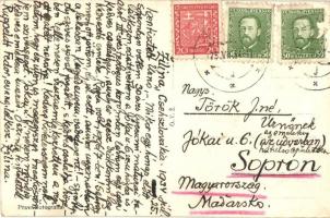 Zsolna, Zilina; Vág folyó, hídak / river Váh, bridges (EB)