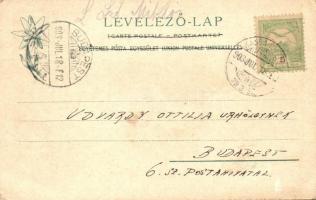 Tátra, Virágvölgy, Blumenthal; Vendéglő, Feitzinger Ede 463. / restaurant (EK)